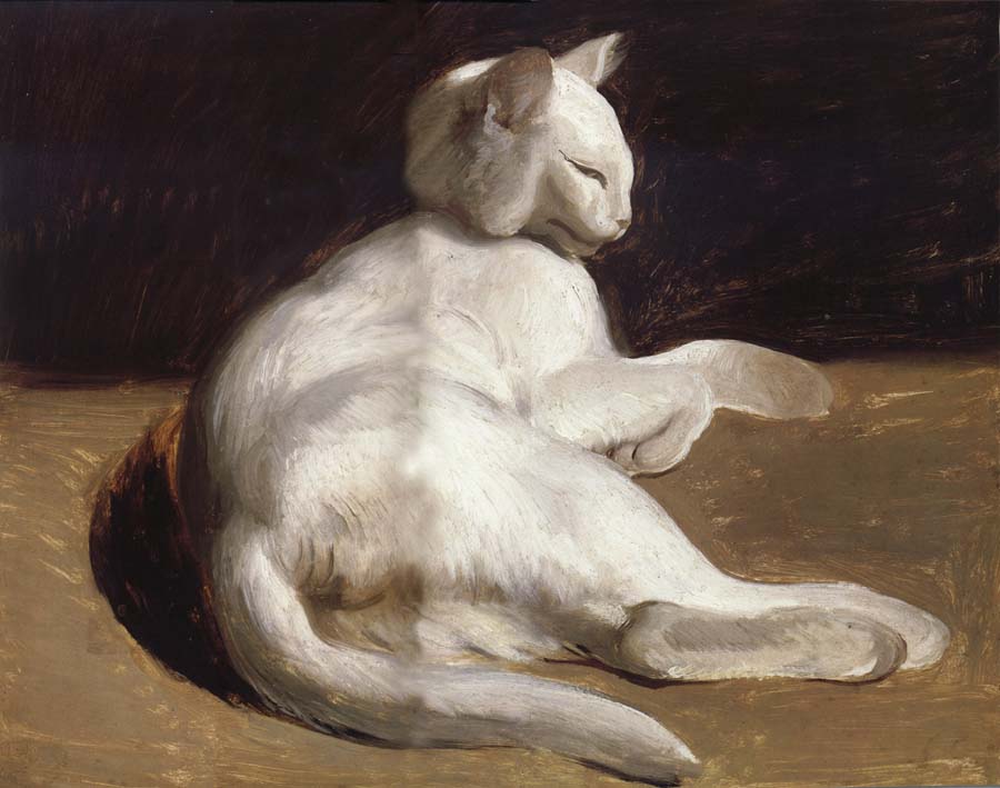 Theodore Gericault The White Cat